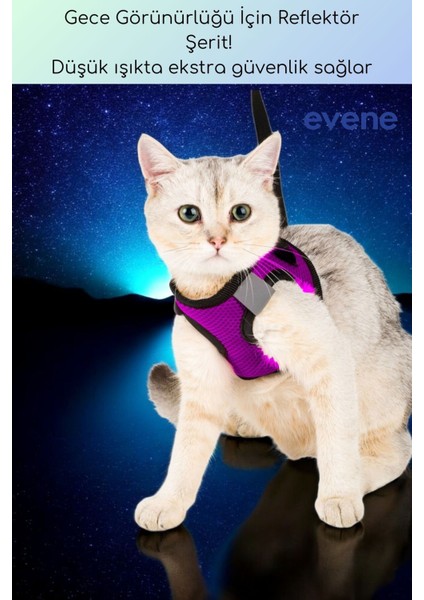 Kedi Tasması Göğüs Boyun Tasma Sevk Kayışlı Terletmeyen Nefes Alan Kumaş Reflektörlü