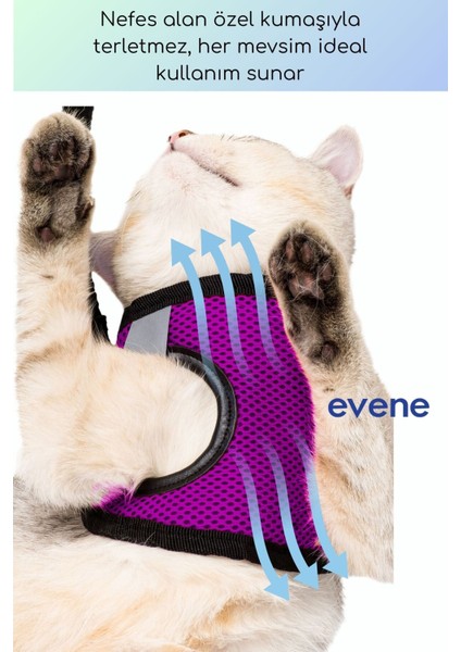 Kedi Tasması Göğüs Boyun Tasma Sevk Kayışlı Terletmeyen Nefes Alan Kumaş Reflektörlü
