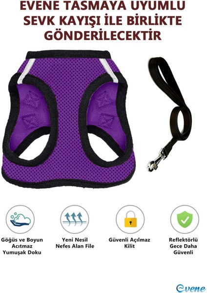 Mor Köpek Tasması S Beden Sevk Kayışlı Terletmeyen Nefes Alan Reflektörlü Paris