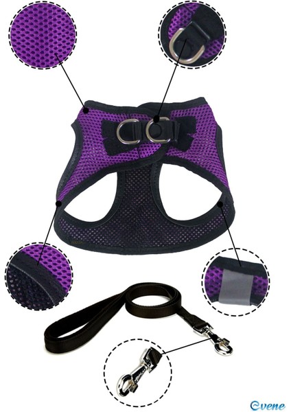 Mor Köpek Tasması S Beden Sevk Kayışlı Terletmeyen Nefes Alan Reflektörlü Paris