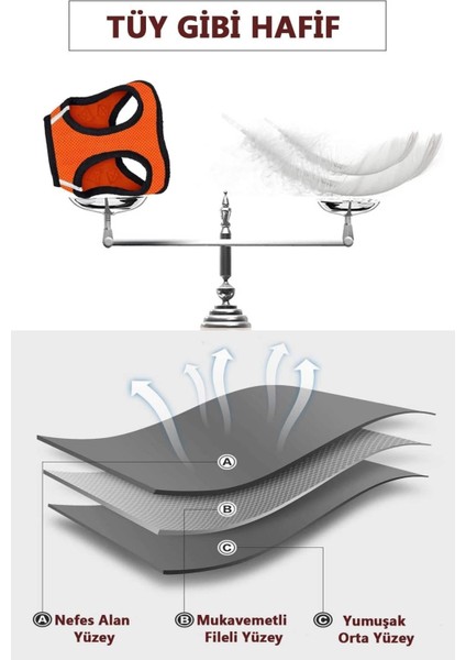 Mor Köpek Tasması S Beden Sevk Kayışlı Terletmeyen Nefes Alan Reflektörlü Paris