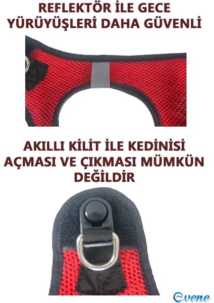 Mor Köpek Tasması S Beden Sevk Kayışlı Terletmeyen Nefes Alan Reflektörlü Paris