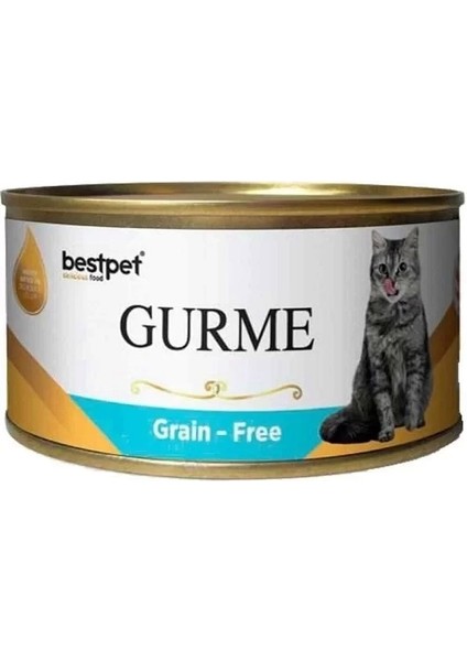 Best Pet Gurme Jöleli Tuna Balıklı Yetişkin Konserve Kedi Maması 100 gr