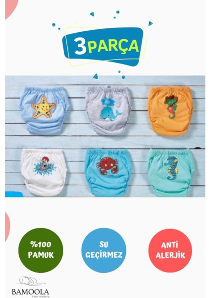 3 Adet Lüx Erkek (2 -3 Yaş) Çocuk Alıştırma Külodu Sızdırmaz (Renk ve Desenlerde Farklılık Olabilir) fiyatları