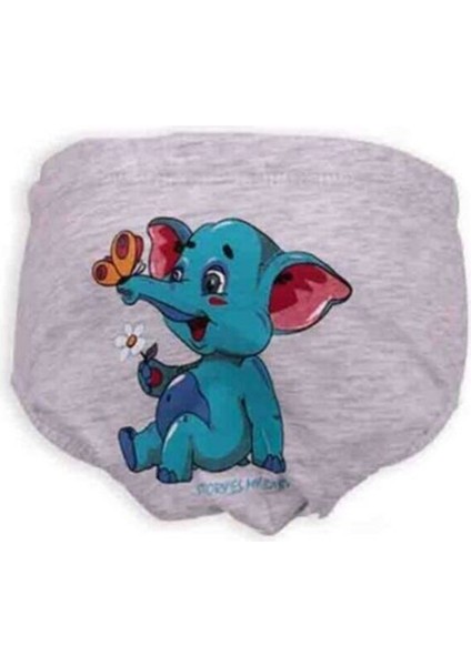 Unisex Gri Bebek Alıştırma Külodu fiyatları