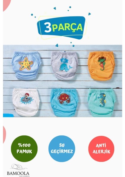 3 Adet Lüx Erkek (3 -4 Yaş) Çocuk Alıştırma Külodu Sızdırmaz (Renk ve Desenlerde Farklılık Olabilir) fiyatları