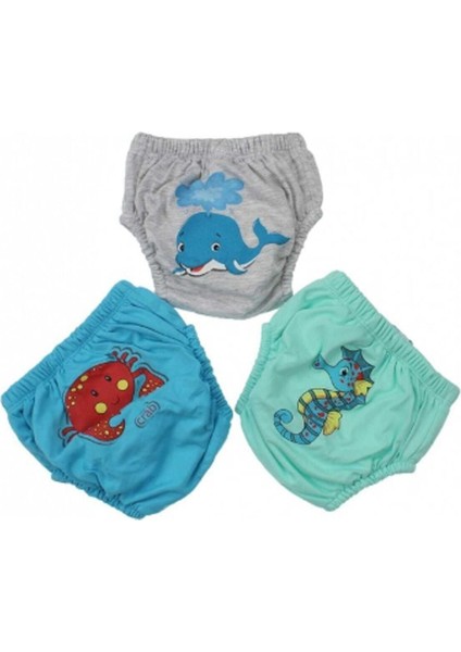 Erkek Bebek Sevimli 3'lü Alıştırma Külodu