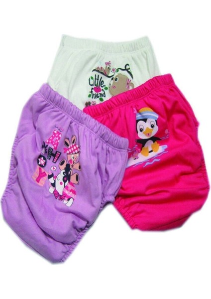 3 Adet Kız Çocuk Alıştırma Külodu