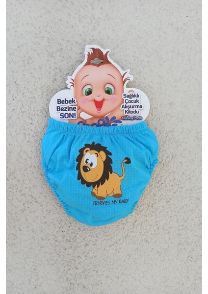 Desenli Desenli 3'lü Alıştırma Külodu Sızdırmaz Tuvalet Eğitimi modelleri