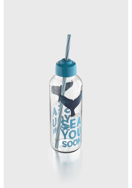 Felix Sea You Soon Desenli 450 ml Pipetli Cam Şişe 182055 Turkuaz fiyatları