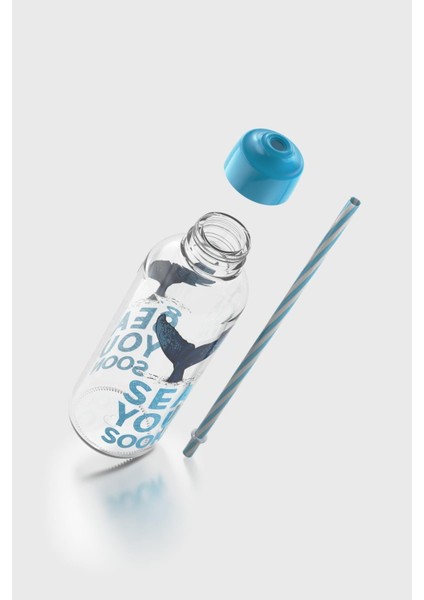 Felix Sea You Soon Desenli 450 ml Pipetli Cam Şişe 182055 Turkuaz modelleri
