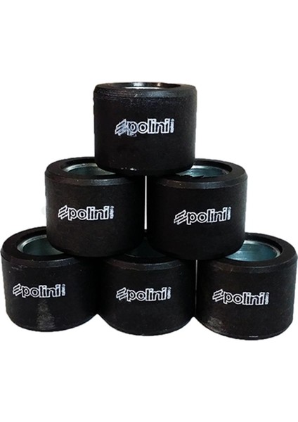 Varyatör Baga Rollers 20X14.95MM 15GR 242.434