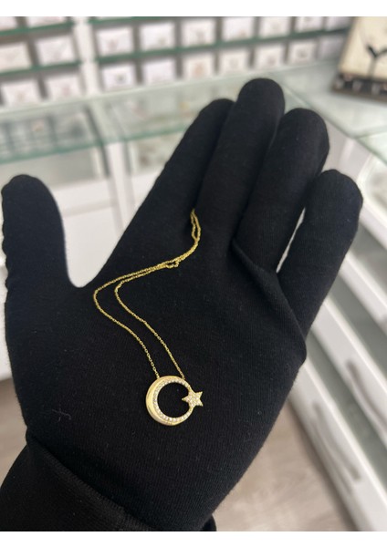 Ayyıldız Figürlü Altın Kaplama Nano Zirkon Kolye fiyatları