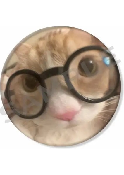 50MM Teneke Yumuşak Düğme Pimleri Komik Kedi Meme Şapka Çantası Için Yuvarlak Broş Yaratıcı Yaka Rozeti Aksesuarları Çocuklar Için Metal Renk: Stil-4/renk: 32MM (Yurt Dışından)