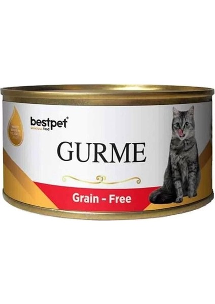 Best Pet Gurme Jöleli Biftekli Yetişkin Konserve Kedi Maması 100 gr