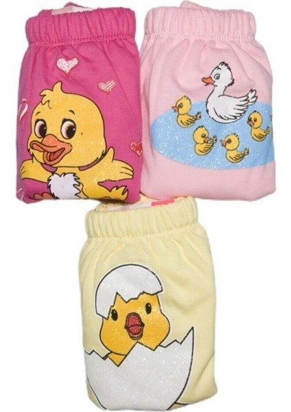 Ördek Serisi Kız Bebek Alıştırma Külodu 1 Numara ( 10 - 15 kg ) (3 Adet)