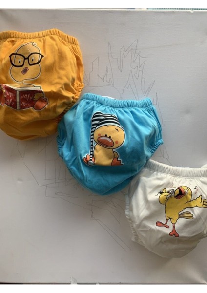 Çocuk Alıştırma Külodu 3'lü