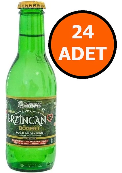Erzincan Bögert Maden Suyu 200 ml x 24 Şişe