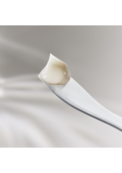 The Moisturizing Fresh Cream - Nemlendirici Krem 60 ml fiyatları