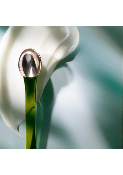 The Eye Concentrate - Göz Kremi 15 ml modelleri