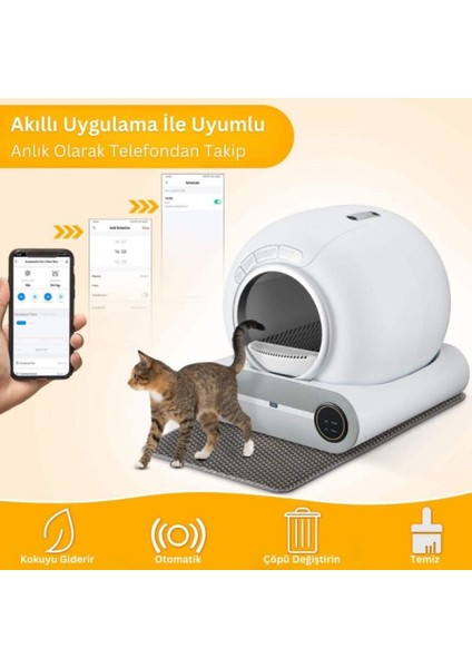 Kedi Tuvaleti, Akıllı Otomatik fırsatları