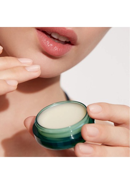 The Lip Balm - Dudak Balmı 9 gr fiyatları