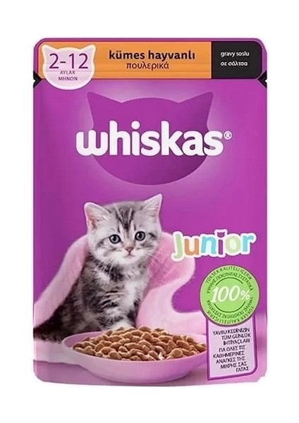 Whiskas Jöleli Kümes Hayvanlı Yavru Konserve Kedi Maması 85 gr