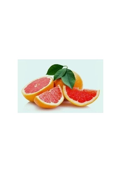 Tüplü Aşılı Rio Red Greyfurt Fidanı 2 Yaş Boy 90-110 cm