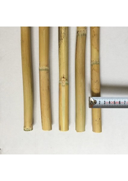 Fidan Destek Çubuğu Kamış 140-150CM 25 Adet