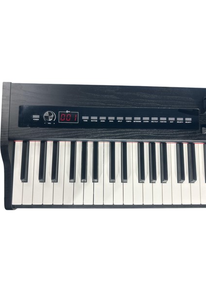 Austin ADP200 Siyah Piyano 88 Tuş fiyatları
