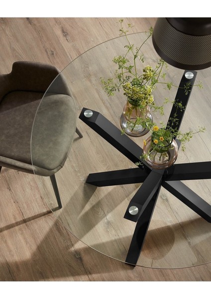 Erika Siyah Metal Cam Yuvarlak Yemek Masası modelleri