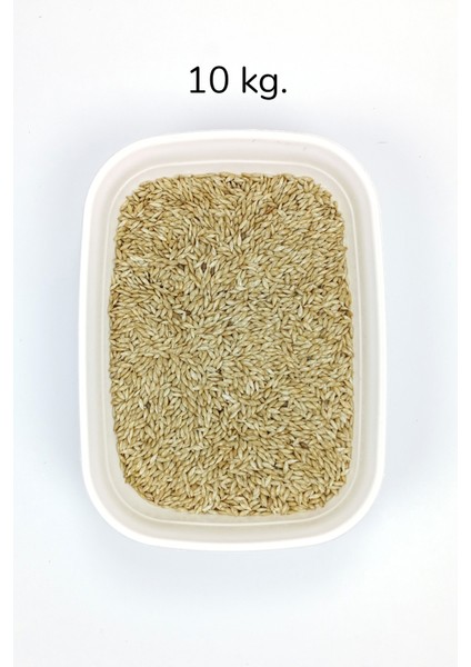Doğal Taze Kanarya Sade Kuş Yemi - 10 kg