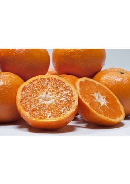 Tüplü Aşılı Primasol Mandalina Fidanı Yaş 1-2 Boy 90-110CM(BOL Verimli)