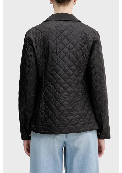 Kapitoneli Regular Fit Klasik Yaka Dolgulu Mont Bayan Mont WW0WW45641 Bds modelleri