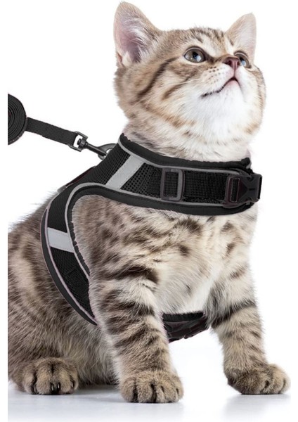 Köpek Tasması Göğüs Boyun Tasma Seti Sevk Kayışlı Terletmeyen Nefes Alan Reflektörlü Tasma