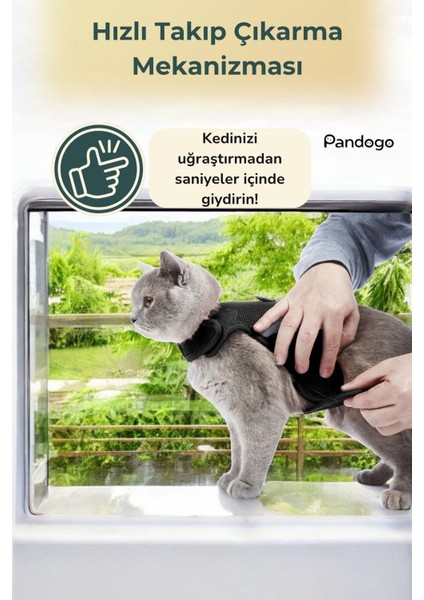 Köpek Tasması Göğüs Boyun Tasma Seti Sevk Kayışlı Terletmeyen Nefes Alan Reflektörlü Tasma
