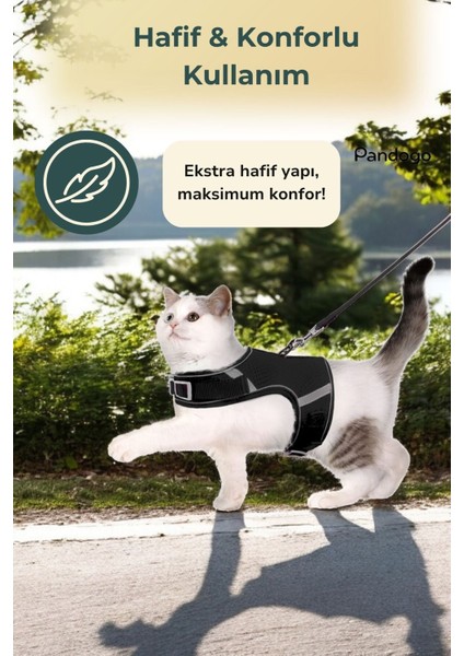 Köpek Tasması Göğüs Boyun Tasma Seti Sevk Kayışlı Terletmeyen Nefes Alan Reflektörlü Tasma