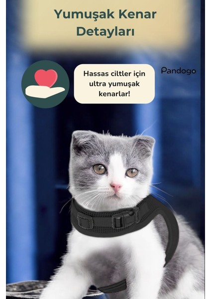 Köpek Tasması Göğüs Boyun Tasma Seti Sevk Kayışlı Terletmeyen Nefes Alan Reflektörlü Tasma