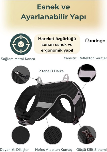 Köpek Tasması Göğüs Boyun Tasma Seti Sevk Kayışlı Terletmeyen Nefes Alan Reflektörlü Tasma