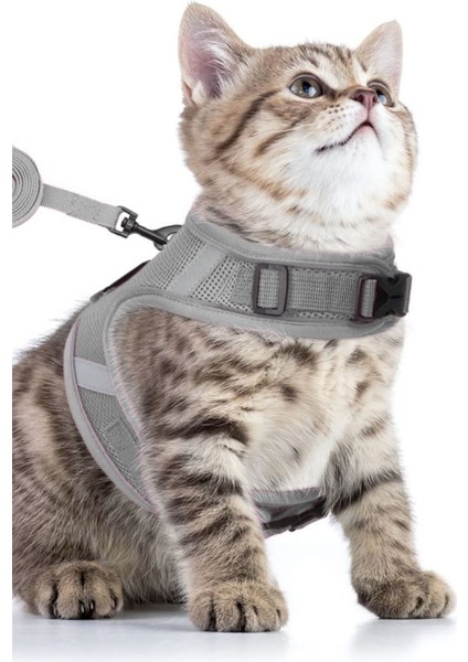Kedi Tasması Göğüs Boyun Tasma Seti Sevk Kayışlı Terletmeyen Nefes Alan Reflektörlü Tasma Gri S
