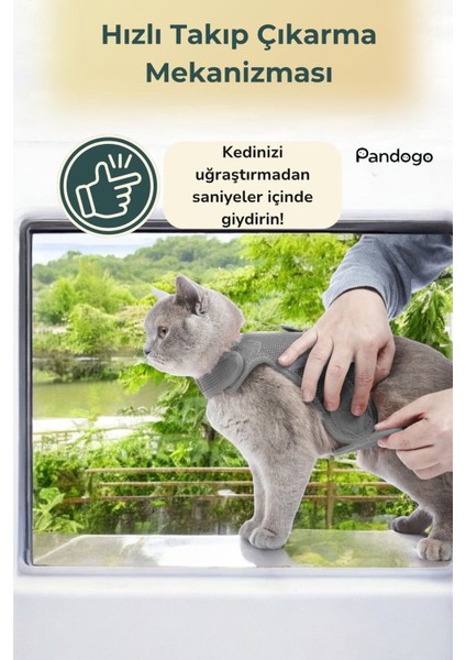 Kedi Tasması Göğüs Boyun Tasma Seti Sevk Kayışlı Terletmeyen Nefes Alan Reflektörlü Tasma Gri S