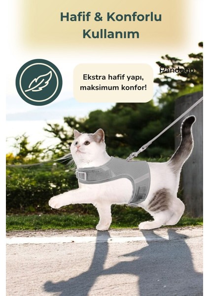 Kedi Tasması Göğüs Boyun Tasma Seti Sevk Kayışlı Terletmeyen Nefes Alan Reflektörlü Tasma Gri S