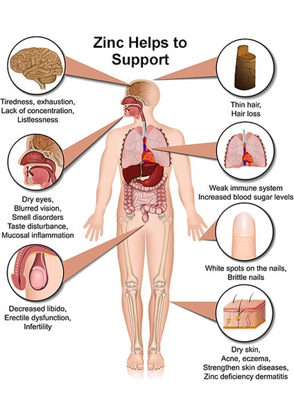 Zinc Picolinate 50 mg 120 Veg Caps Çinko Pikolinat Mineral Güçlü Immune fırsatları