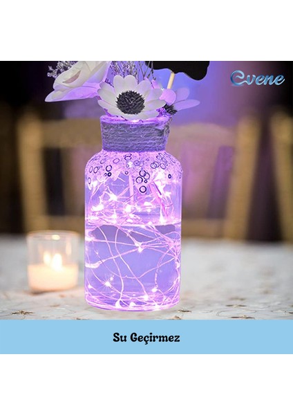 3 Metre Peri LED Çok Amaçlı Dekoratif Aydınlatma modelleri