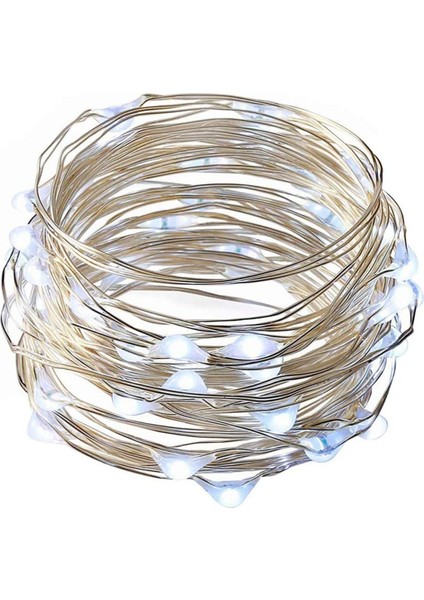 3 Metre Peri Led Çok Amaçlı Dekoratif Aydınlatma