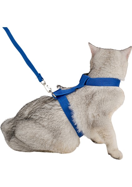 Kedi Tasması Boyun Göğüs Ayarlanabilir Sevk Kayışlı Gezdirme Seti