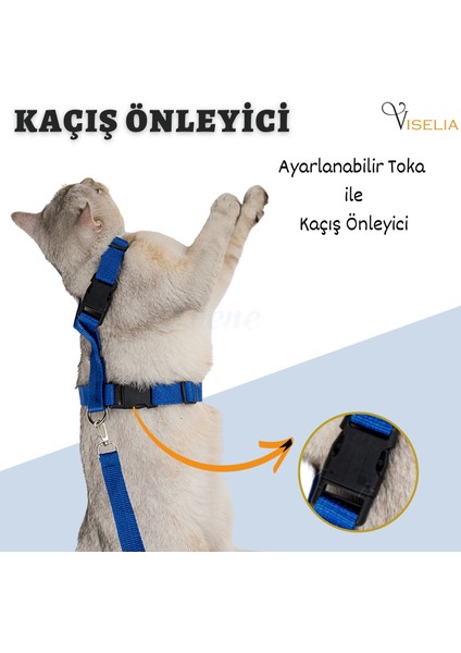 Kedi Tasması Boyun Göğüs Ayarlanabilir Sevk Kayışlı Gezdirme Seti fiyatları