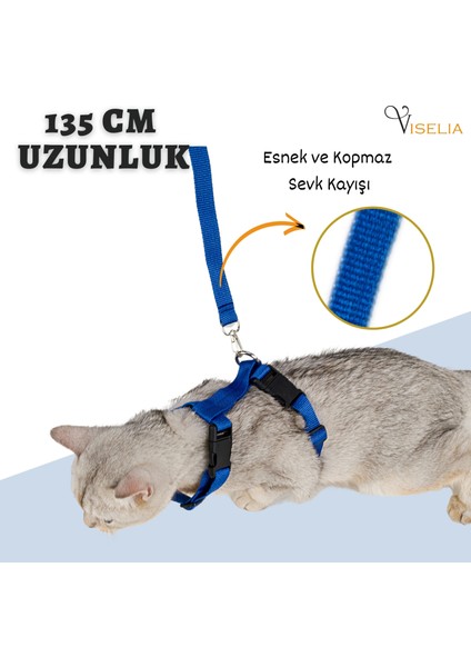 Kedi Tasması Boyun Göğüs Ayarlanabilir Sevk Kayışlı Gezdirme Seti fırsatları