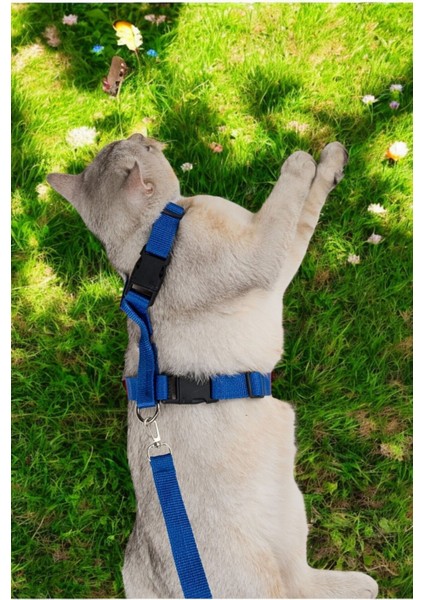 Kedi Tasması Boyun Göğüs Ayarlanabilir Sevk Kayışlı Gezdirme Seti