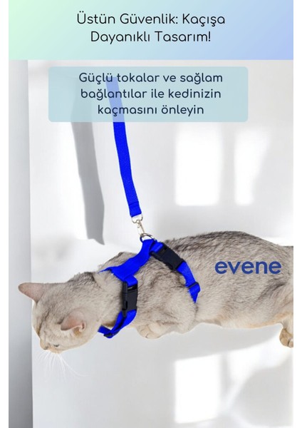 Kedi Tasması Boyun Göğüs Ayarlanabilir Sevk Kayışlı Gezdirme Seti